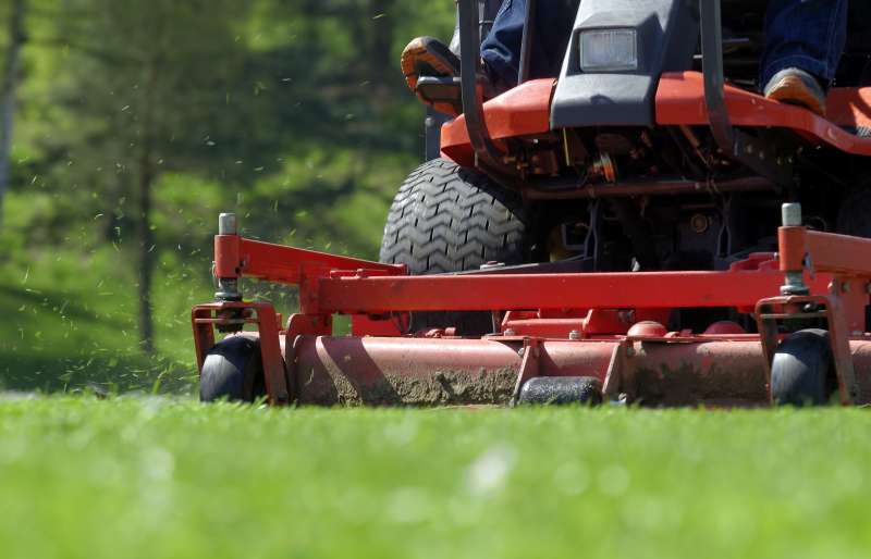 Decorative Elements